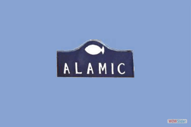 Alamic